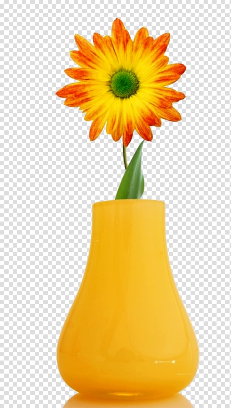 Flower High-definition television Desktop 1080p , flower vase transparent background PNG clipart