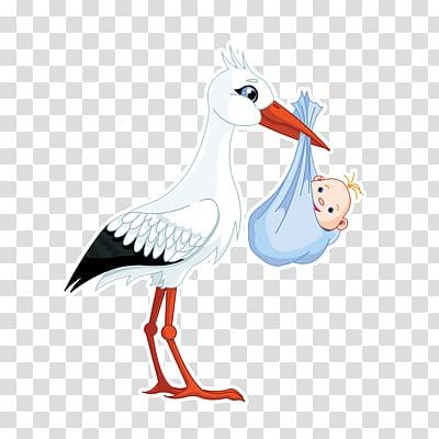 Stork transparent background PNG clipart