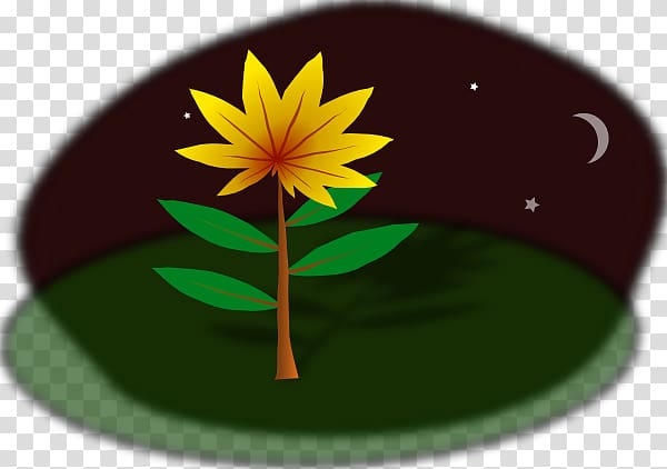 graphics Computer Icons Desktop , night jasmine flower transparent background PNG clipart