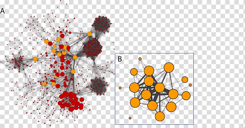 Cytoscape Social network analysis Computer network Visualization, social network transparent background PNG clipart
