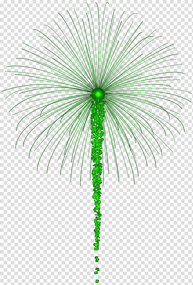burst of green fireworks, Adobe Fireworks , Green Fireworks for Dark transparent background PNG clipart