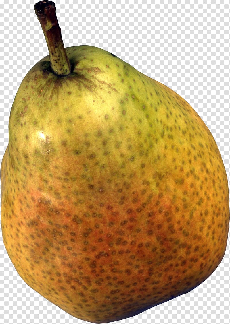 European pear Papa Pear Saga Princeton University Rosaceae, Pear transparent background PNG clipart