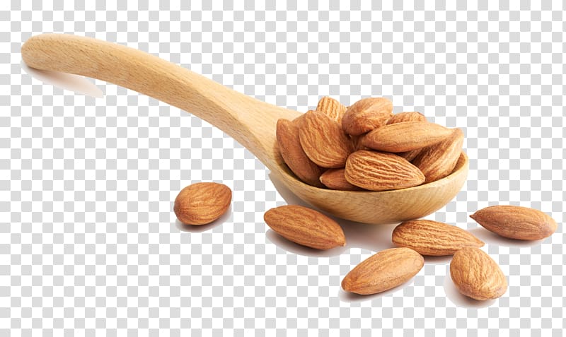 brown nuts on spoon, Almond Nut Illustration, Almond-kind transparent background PNG clipart