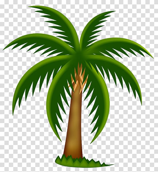 Palm trees Date palm , Painted Palm Tree , green and bcoconut tree illustration transparent background PNG clipart
