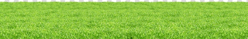 green lawn field, Grass Surface transparent background PNG clipart