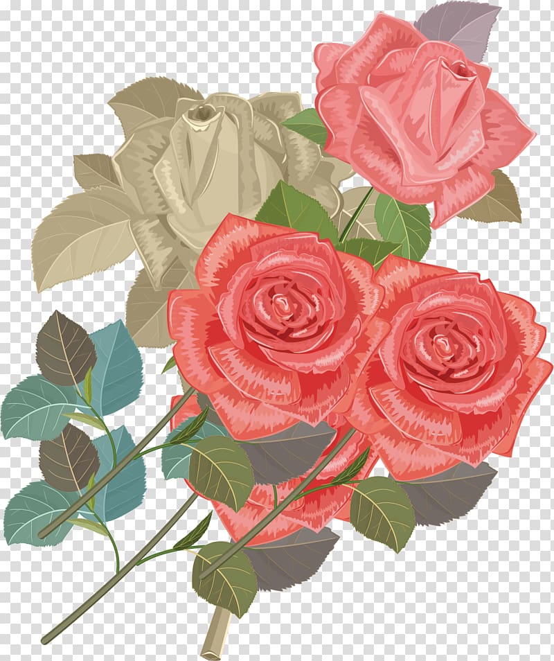 Garden roses Centifolia roses Beach rose Flower bouquet, Rose Creative transparent background PNG clipart