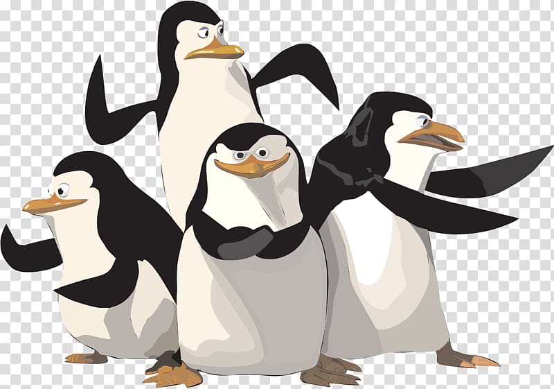 Madagascar penguins transparent background PNG clipart