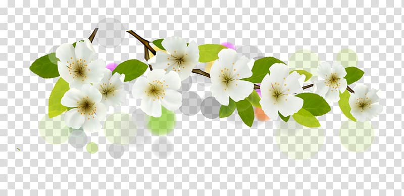 white petaled flowers , Flower Euclidean White Banner, flowers transparent background PNG clipart