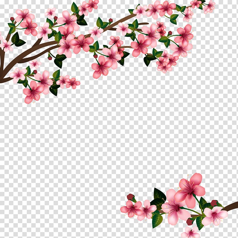 pink and green tree blossoms border art, Cherry blossom Euclidean , Cherry Blossom transparent background PNG clipart