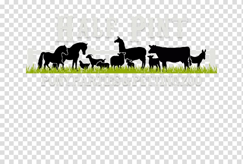 Half Pint Pony Parties & Petting Zoo Bullard Cattle American Miniature Horse, petting zoo transparent background PNG clipart