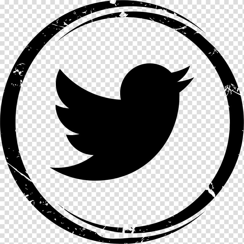 Winnipeg School Division Social media Business Computer Icons Plan, twitter bird transparent background PNG clipart