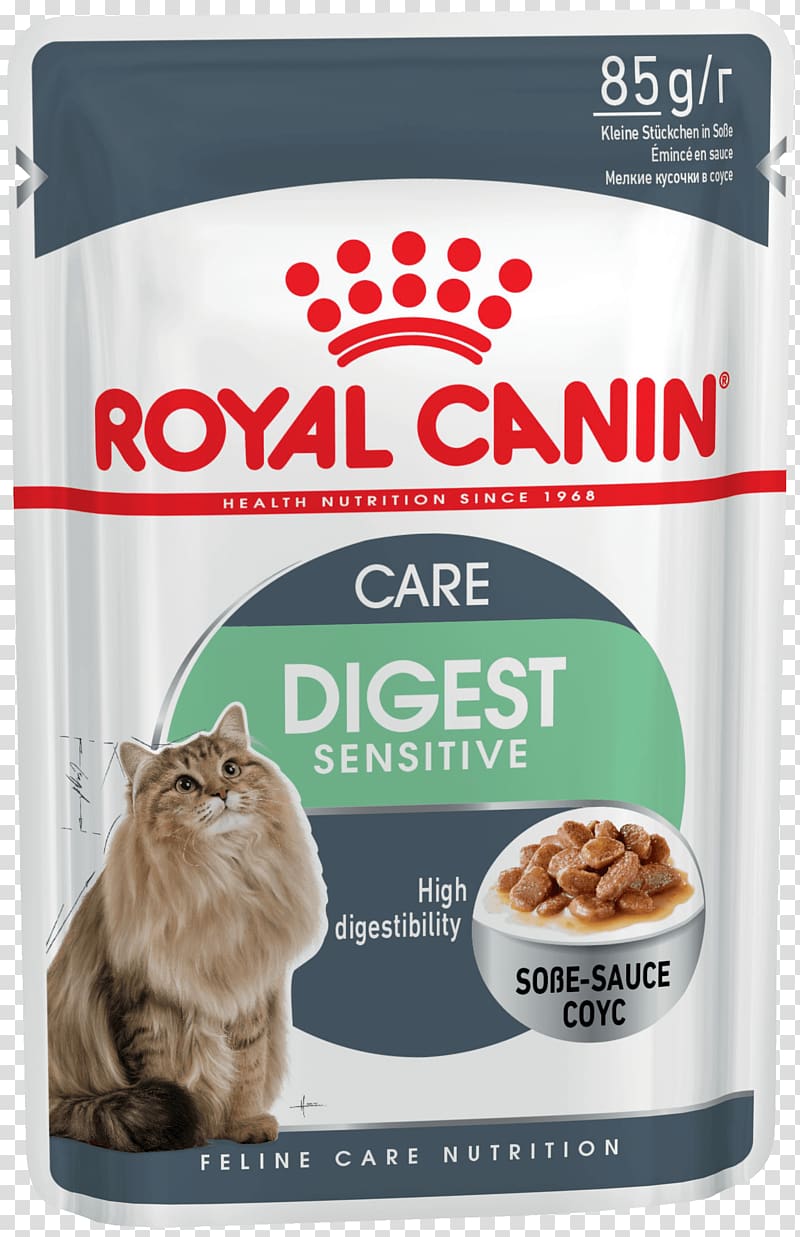 Cat Food Sphynx cat Dog Kitten Pet, Dog transparent background PNG clipart