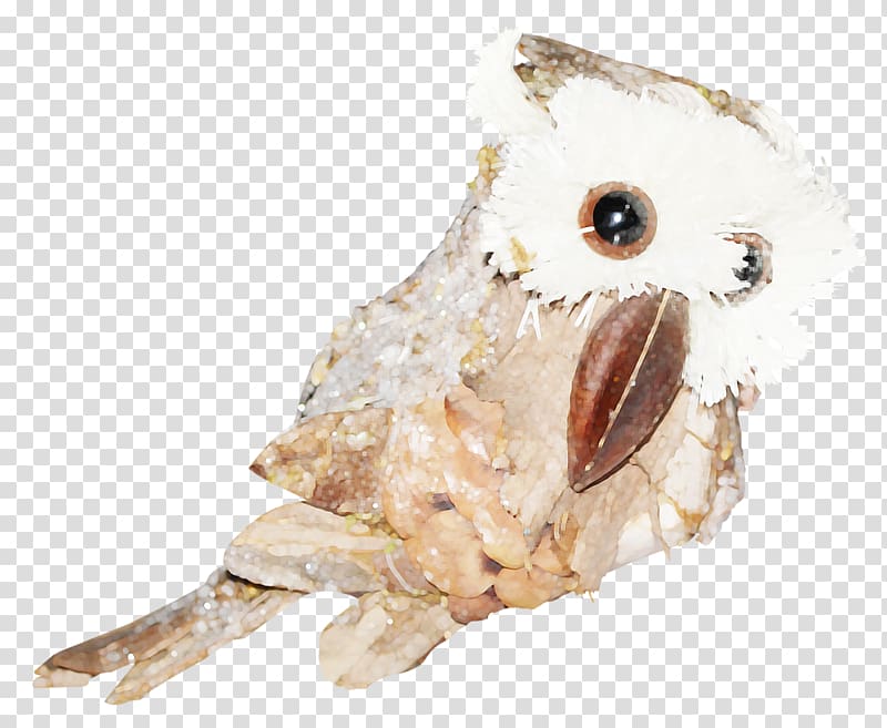 Bird of prey Owl Beak Animal, hand painted transparent background PNG clipart