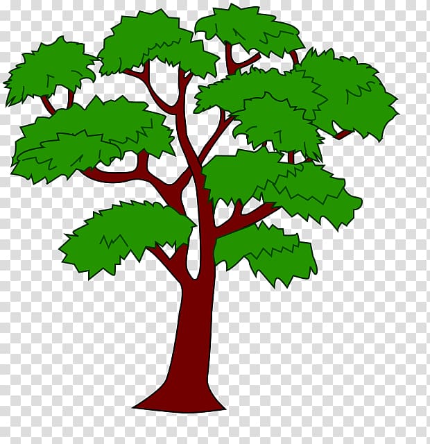 Mahogany Draw trees , tree transparent background PNG clipart