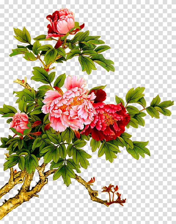 China Peony Chinese painting Chinese art, Creative hand-painted peony transparent background PNG clipart