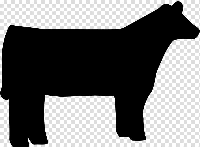 Beef cattle Texas Longhorn Shorthorn Angus cattle Live show, animal silhouettes transparent background PNG clipart