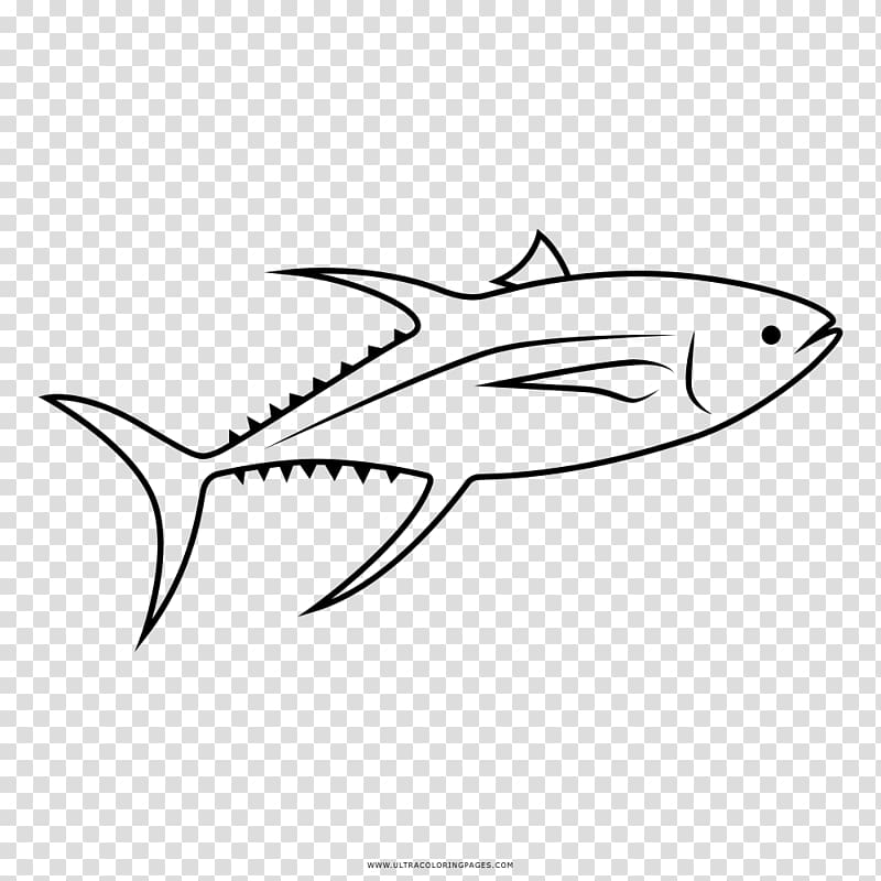 Coloring book Drawing Sushi Atlantic bluefin tuna Albacore, sushi transparent background PNG clipart