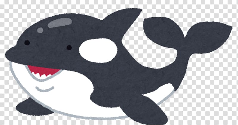 Killer whale タヌキとキツネ Marine mammal Earless seal, killer whale transparent background PNG clipart