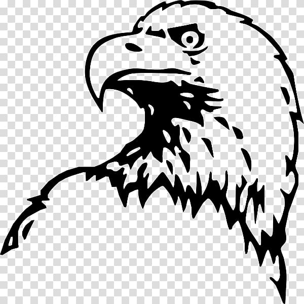 Bald Eagle Cross peña del Águila , eagle transparent background PNG clipart