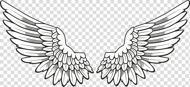 Icon Wing , Wings , pair of feather wings artwork transparent background PNG clipart