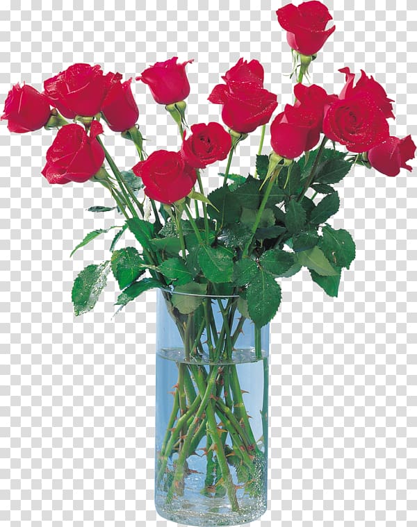 Garden roses Vase Cabbage rose Portable Network Graphics Flower, vase transparent background PNG clipart