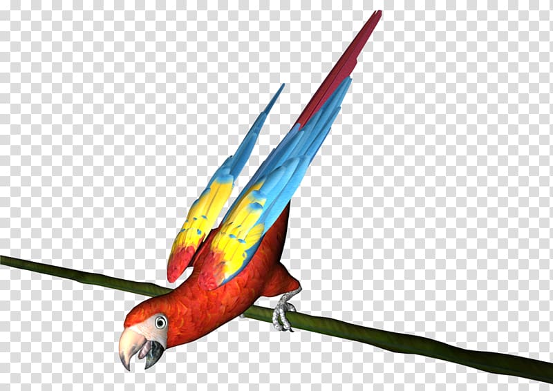 Macaw Parakeet 諾基亞 Eiffel Tower Feather, Perroquet transparent background PNG clipart
