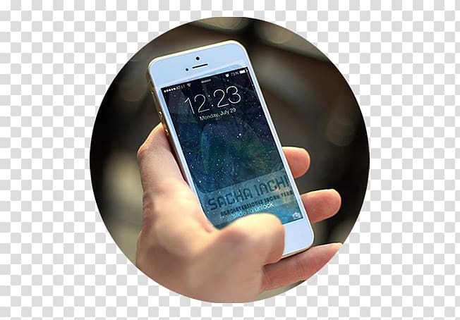 iPhone Mobile app development Bill shock Business, sacha inchi transparent background PNG clipart