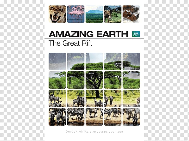 BBC Earth BBC Earth Blu-ray disc Yellowstone National Park, earth transparent background PNG clipart