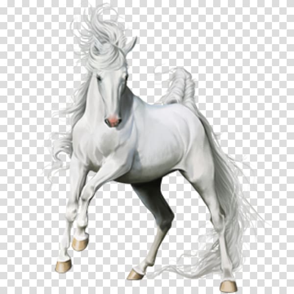 Howrse American Paint Horse Thoroughbred Mustang Gypsy horse, mustang transparent background PNG clipart
