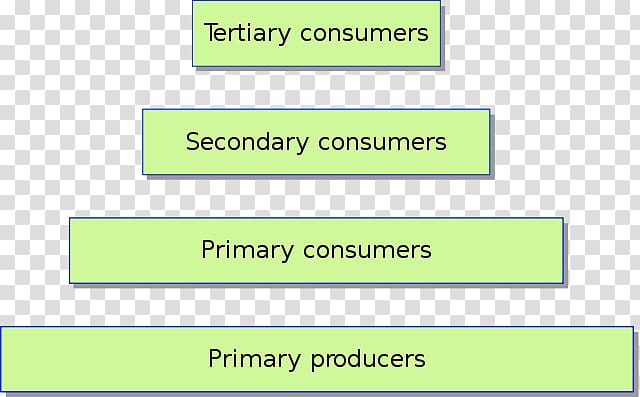 Ecological pyramid Trophic level Ecosystem Ecology Energy, the original ecology transparent background PNG clipart