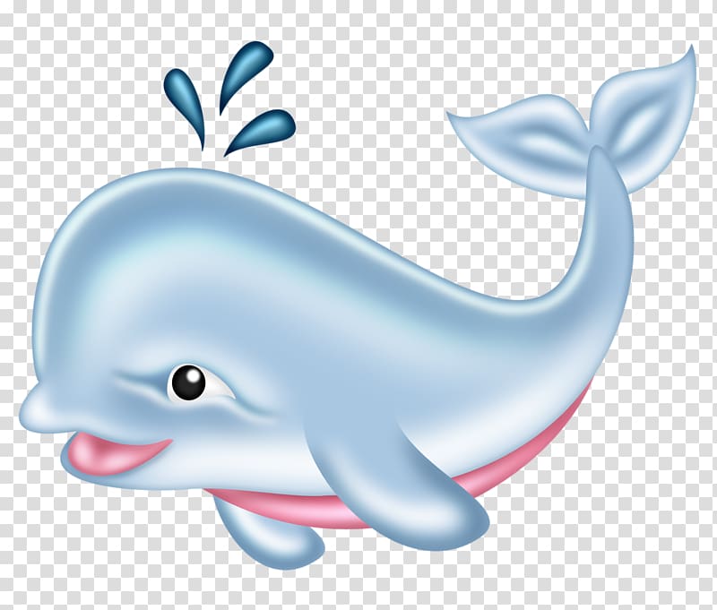 Drawing Whale , Cartoon whale transparent background PNG clipart