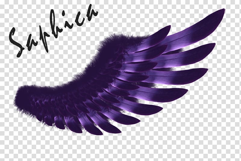 Wing Logo Purple , angel wing transparent background PNG clipart