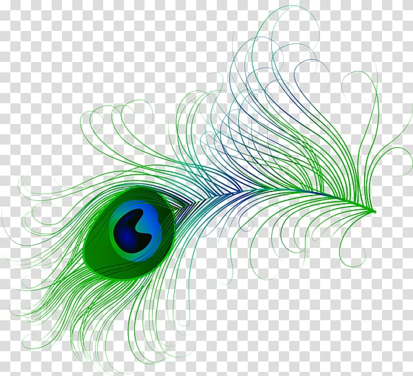 Feather Pavo , feather transparent background PNG clipart