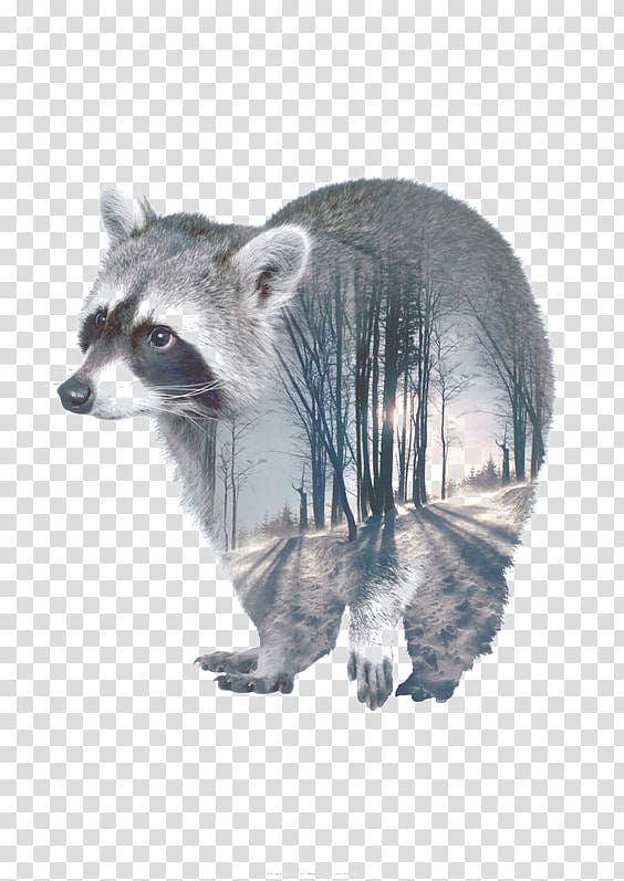 Multiple exposure Animal Portrait, Cartoon raccoon transparent background PNG clipart