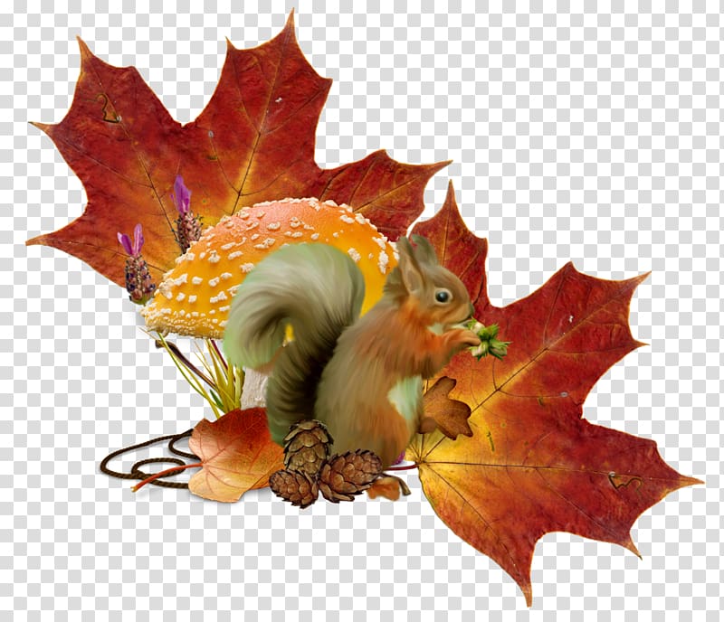 Tree squirrel Autumn Hare Holiday, autumn illustration transparent background PNG clipart