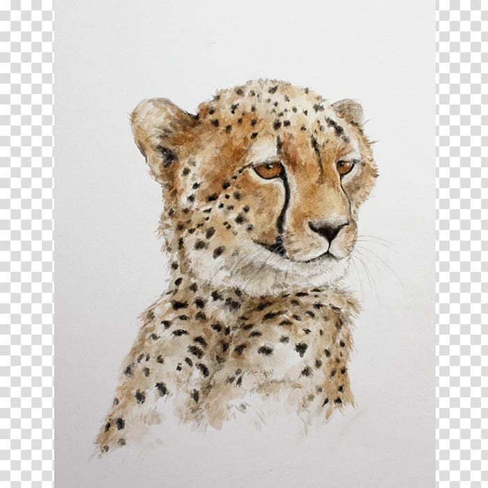 Cheetah Leopard African wild dog Cat Lion, cheetah transparent background PNG clipart
