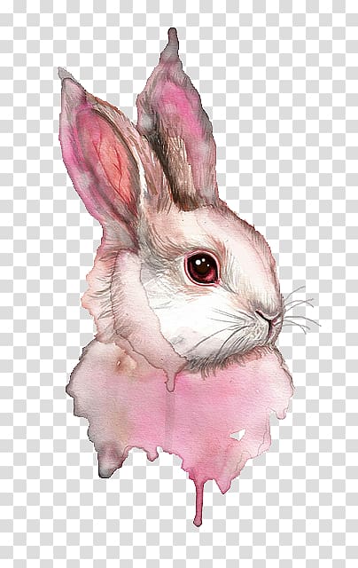 Watercolor painting Art Rabbit, painting transparent background PNG clipart