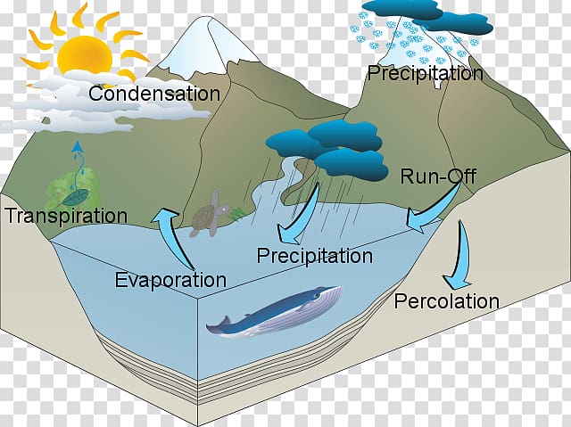 Water resources Water cycle, Water Cycle transparent background PNG clipart