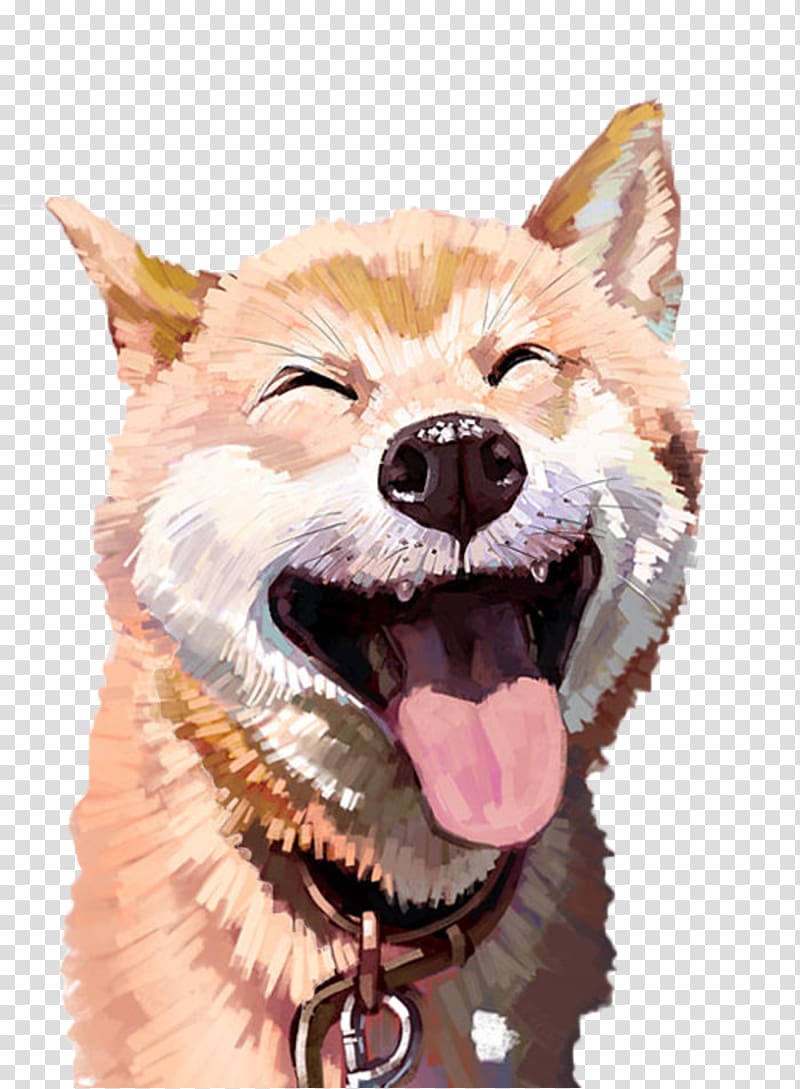 orange and white Shiba inu painting, Akita Cat Husky Pet Illustration, Happy Husky material transparent background PNG clipart