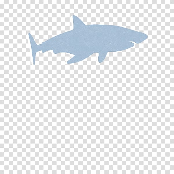 Requiem shark Chondrichthyes Marine mammal Marine biology Fish, BABY SHARK transparent background PNG clipart