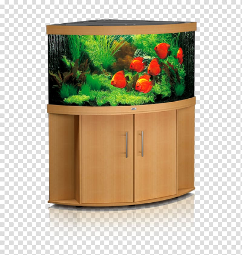 Aquarium Filters Tropical fish Pet, aquarium decoration transparent background PNG clipart