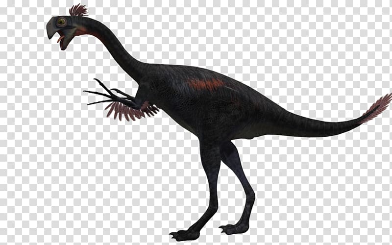 Gigantoraptor Velociraptor Alectrosaurus Bird Agathaumas, Gigantoraptor transparent background PNG clipart