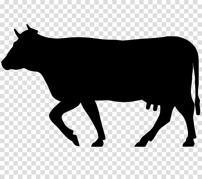 Angus cattle Salers cattle Charolais cattle Beefmaster Zebu, others transparent background PNG clipart