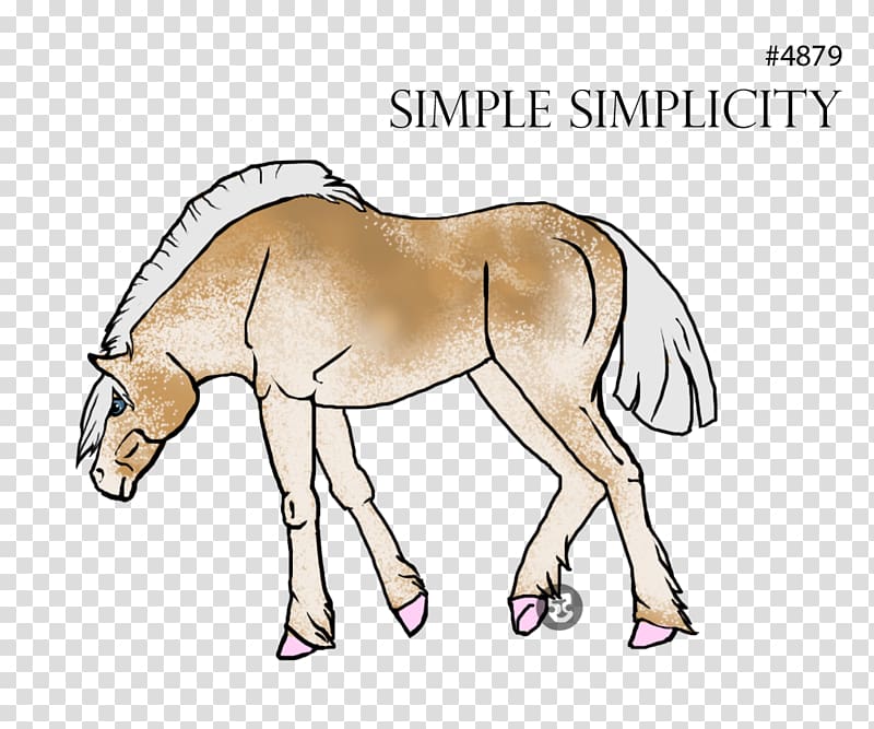 Mule Foal Pony Mustang Colt, primitive simplicity transparent background PNG clipart