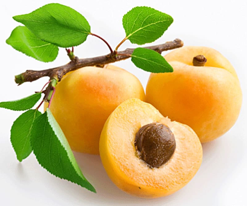 Apricot oil Fruit Apricot kernel Plum blossom, apricot transparent background PNG clipart
