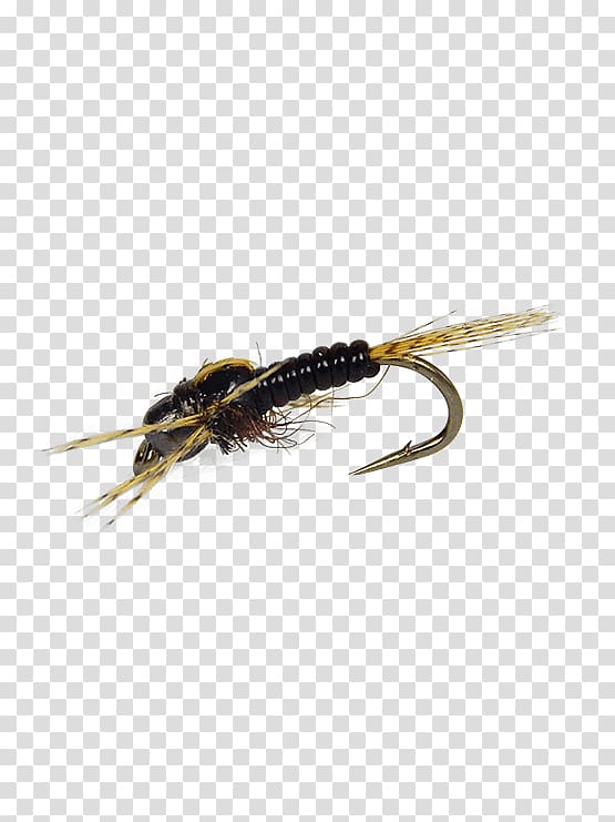 Artificial fly Fly fishing Insect Holly Flies, Mount Holly Springs transparent background PNG clipart