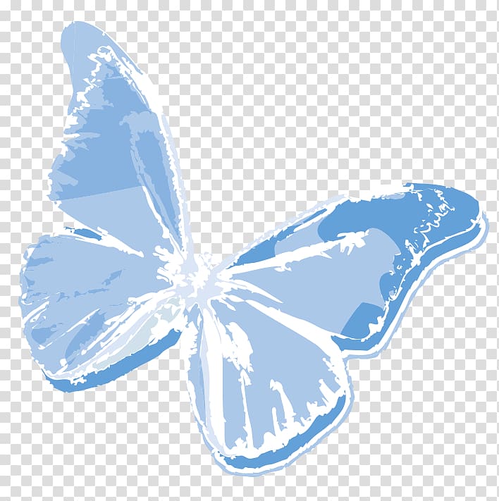 Butterfly Newsletter Email United States Book, butterfly transparent background PNG clipart