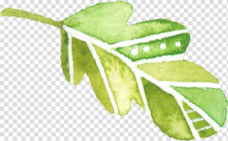 Leaf Watercolor painting Green, Hand-painted watercolor green leaf decoration elements transparent background PNG clipart