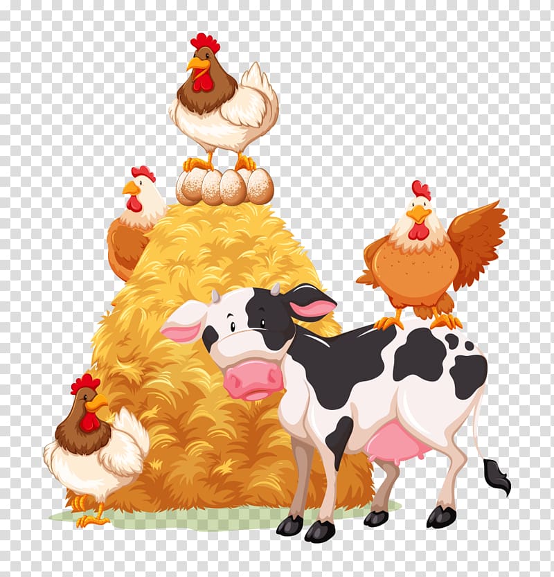 cow chicken animals transparent background PNG clipart