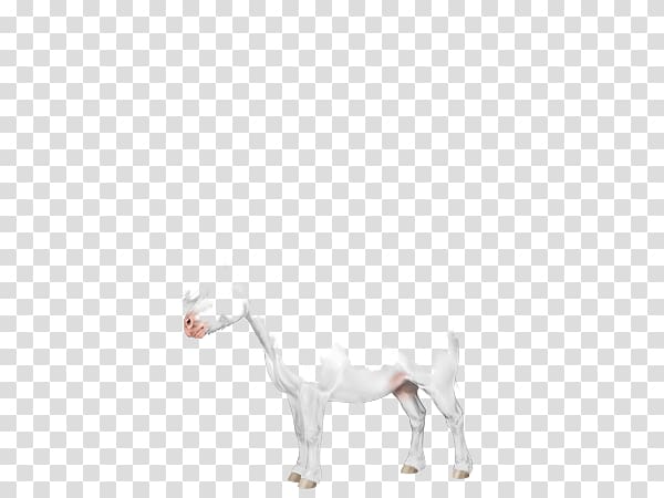 Mustang Camel Freikörperkultur Animal Mammal, Shetland Pony transparent background PNG clipart